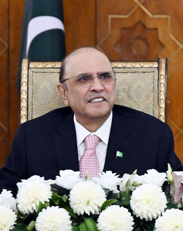 پاکستان اور جرمنی میں وسیع تر تعاون: صدر زرداری کی جرمن ہم منصب سے اہم ملاقات
